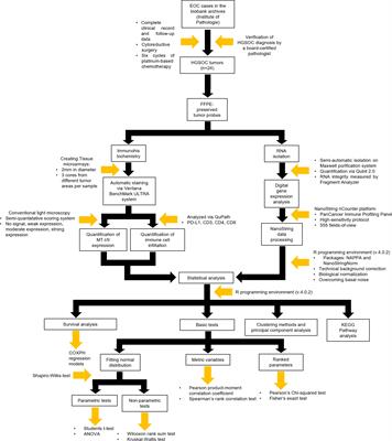 Tumor cell cytoplasmic metallothionein expression associates with differential tumor immunogenicity and prognostic outcome in high-grade serous ovarian carcinoma